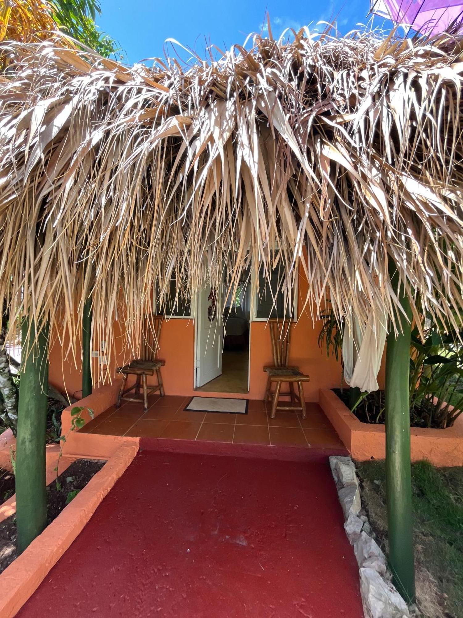Arena Oceanview Hotel & La Terraza Restaurant 拉斯加勒拉斯 外观 照片