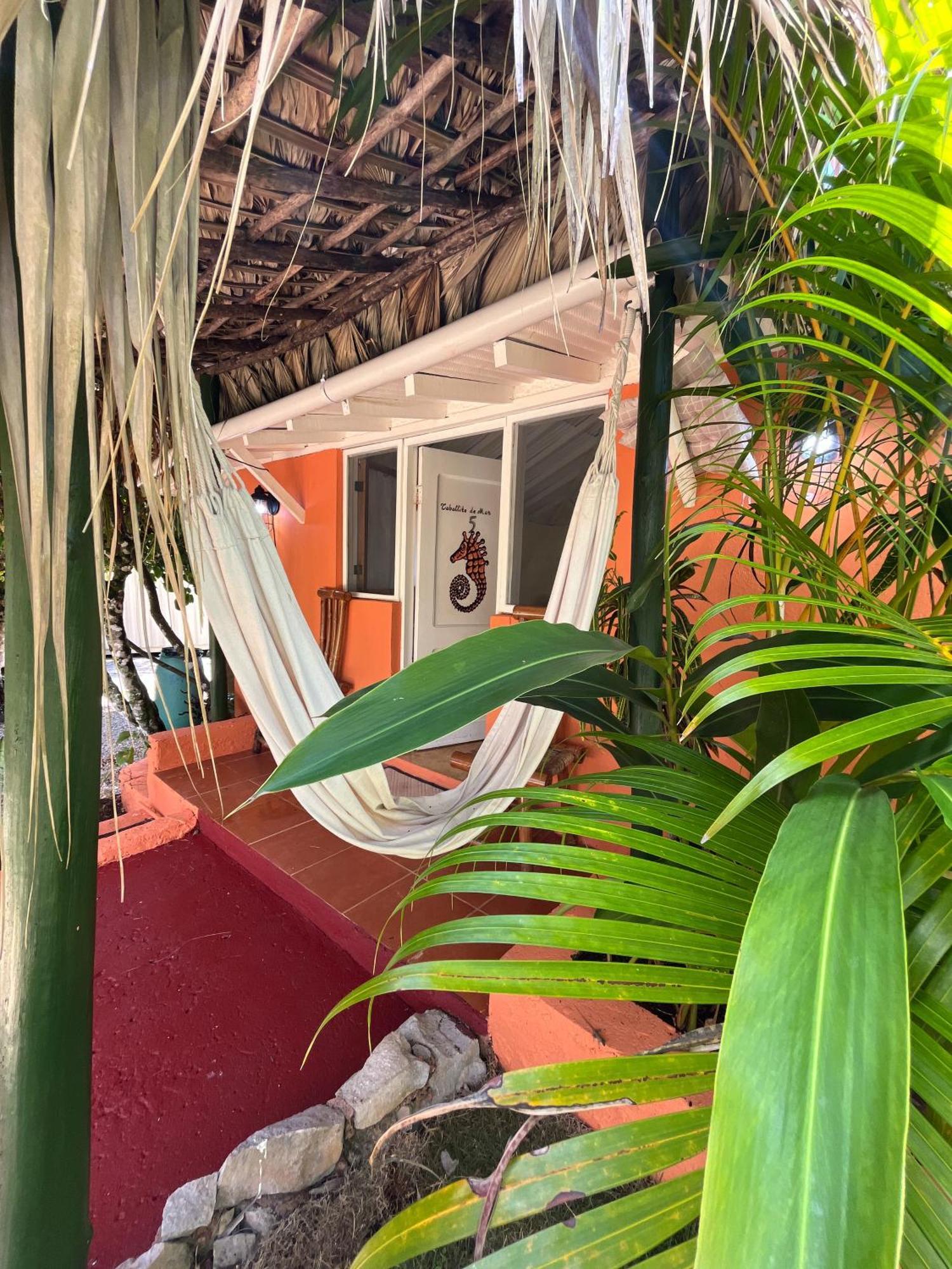 Arena Oceanview Hotel & La Terraza Restaurant 拉斯加勒拉斯 外观 照片